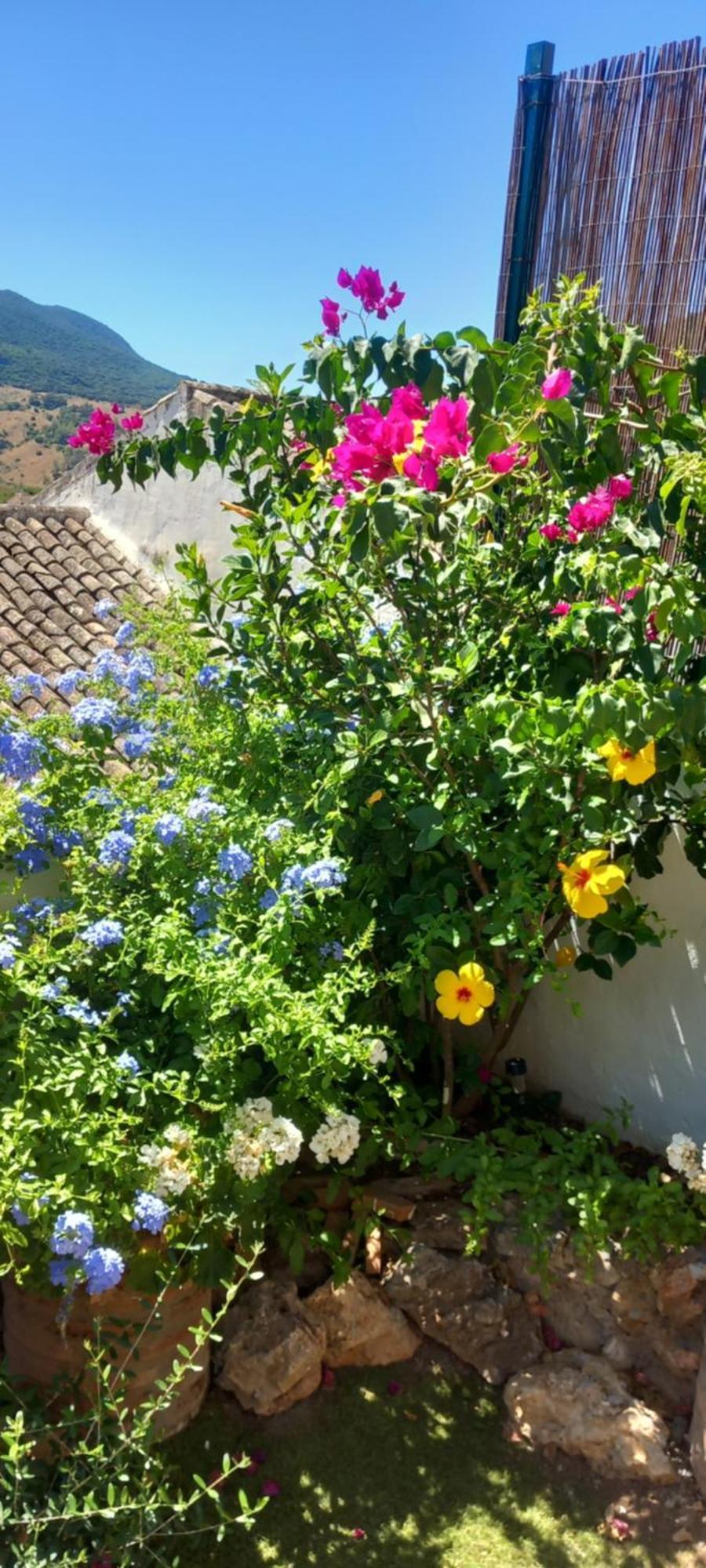 La Posada De La Muela อัลโกโดนาเลส ภายนอก รูปภาพ