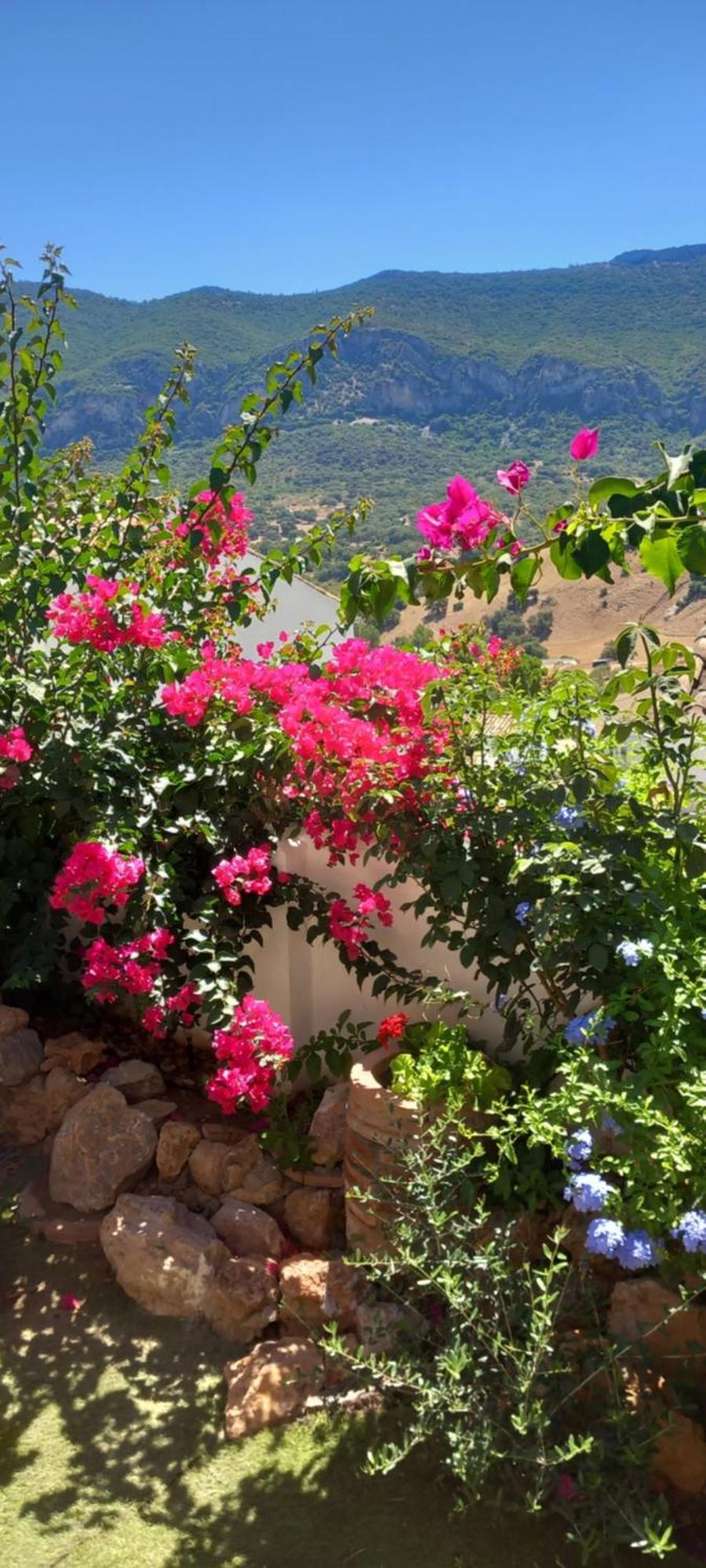 La Posada De La Muela อัลโกโดนาเลส ภายนอก รูปภาพ